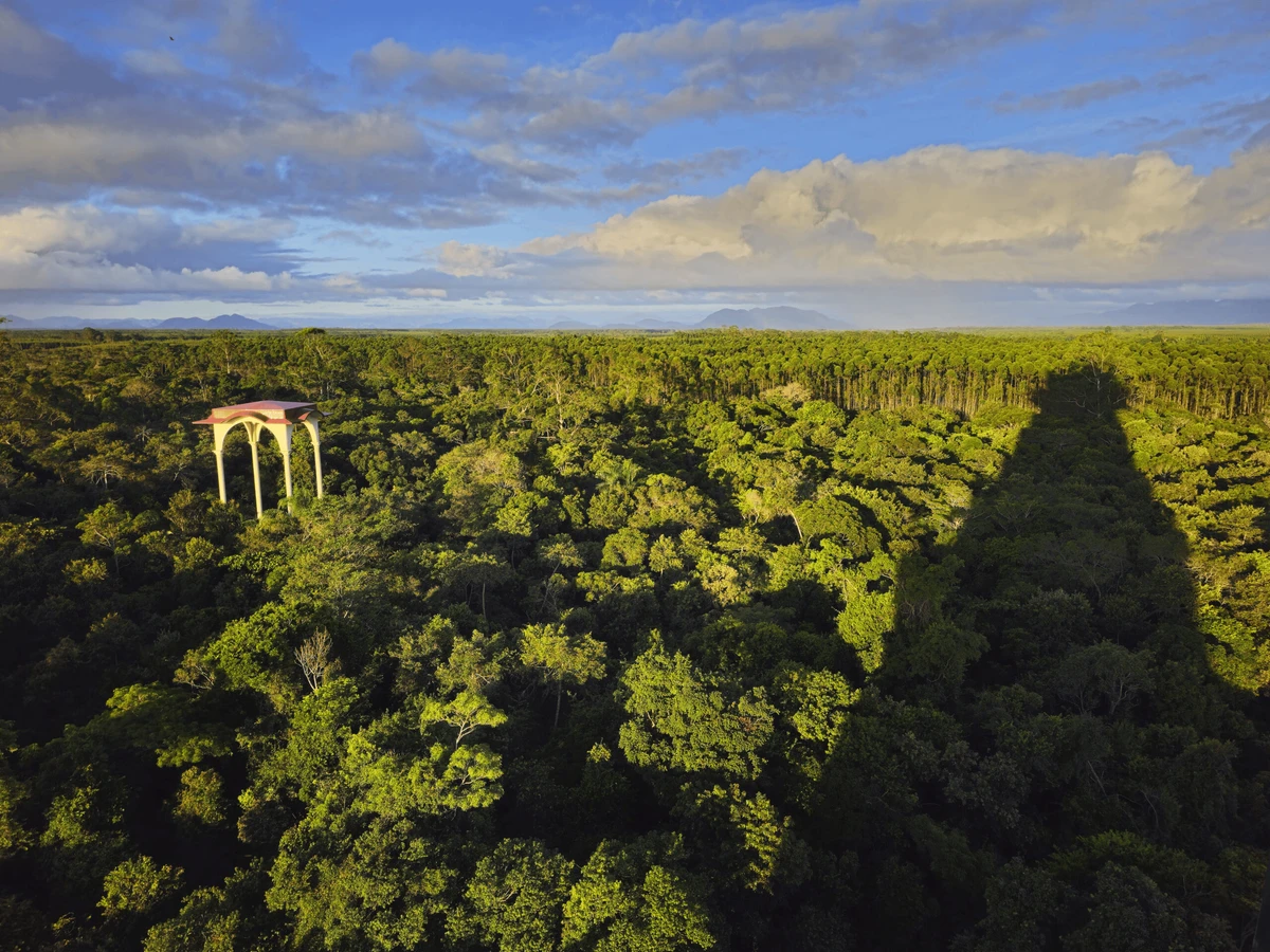 A área verde no SESC PRAIA FORMOSA oferece um espaço de lazer e convivência com a natureza por  Leonardo Merçon/Instituto Últimos Refúgios