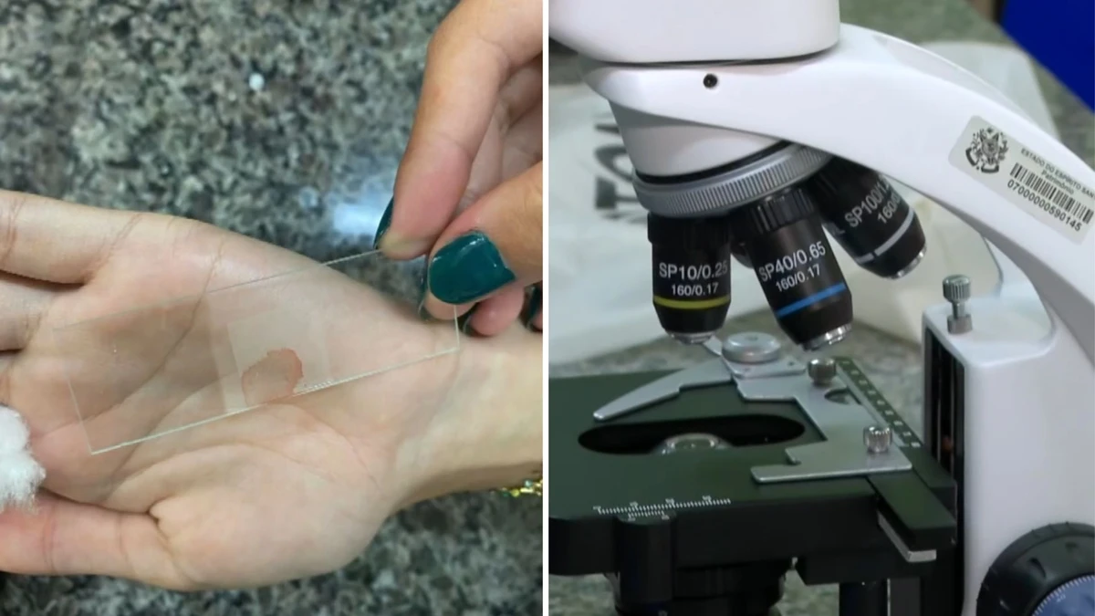 Lâmina com o sangue retirado com a mesma agulha ante uma testagem sanguínea em aula de Química, em Laranja da Terra