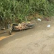 Imagem - Motociclista morre e adolescente fica ferido em acidente no Sul do ES
