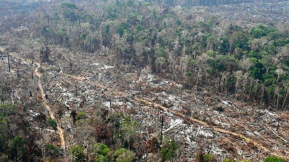 Imagem BBC Brasil