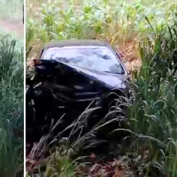 Segundo a PM, vítima morreu após veículo colidir contra uma árvore e não tinha habilitação para dirigir
