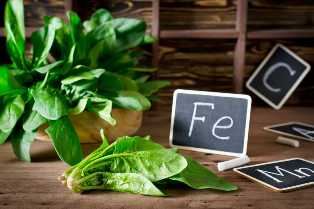 Alimentos ricos em ferro previnem a anemia e o cansaço extremo (Imagem: vkuslandia | Shutterstock)