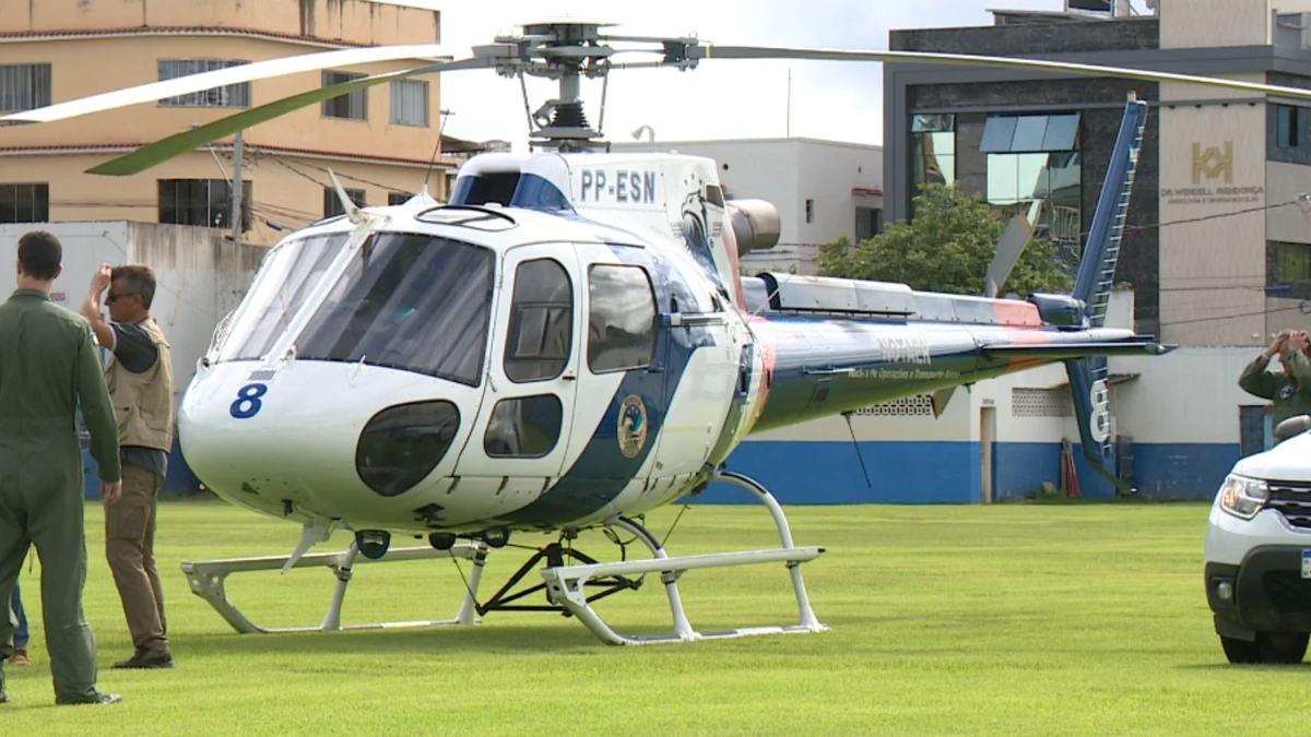 Operação mira áreas de Mata Atlântica desmatadas em Colatina 
