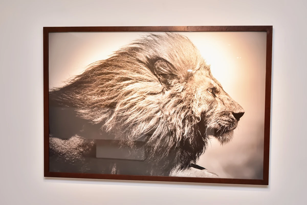 Reino Desse Mundo, do fotógrafo baiano  Christian Cravo