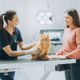 Imagem - 8 cuidados importantes com gatos com FeLV 