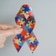 Imagem - Censo derruba o silêncio sobre a deficiência e o autismo no Brasil