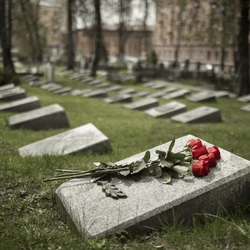 A alta foi de 4,6% em relação a 2023, quando o país havia contabilizado 1,4 milhão de óbitos, segundo a pesquisa Estatísticas do Registro Civil, que considera registros dos cartórios