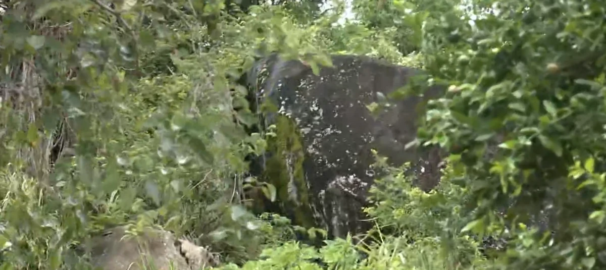 Casas são interditadas em Joana D'arc, Vitória