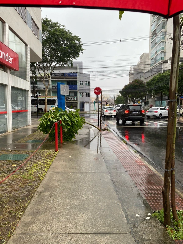 Jardim Camburi, Vitória - árvore caída por Felipe Sena