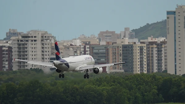 Trabalho feito pelo Aeroporto de Vitória na proteção do quero-quero foi destaque em evento global realizado no Caribe