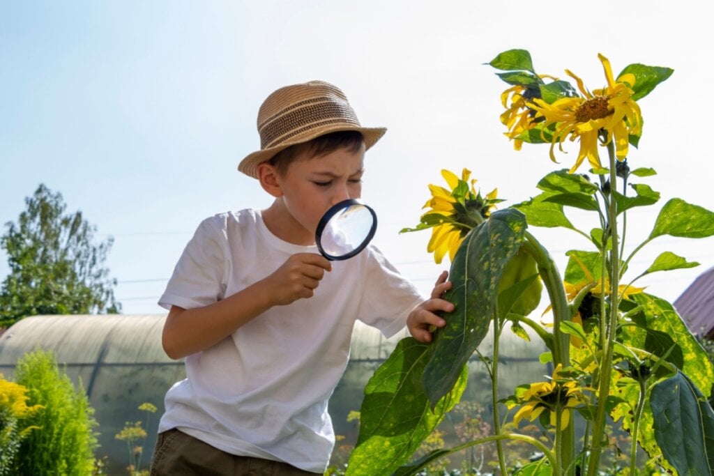Parques, praças e áreas verdes em espaços urbanos podem se transformar em uma &#8220;expedição&#8221; para observar plantas (Imagem: FamStudio | Shutterstock)