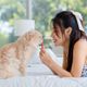 Imagem - 6 benefícios dos petiscos para cães e gatos