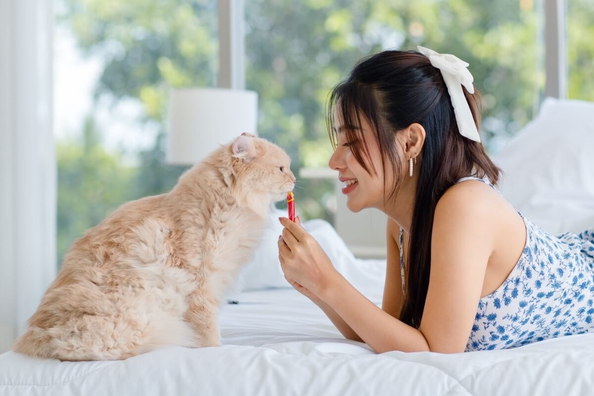 Os petiscos contribuem para a saúde física e mental dos animais (Imagem: Bangkok Click Studio | Shutterstock)