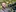 Fotógrafo capixaba Leonardo Merçon comemora 20 anos de registros da natureza 