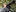 Fotógrafo capixaba Leonardo Merçon comemora 20 anos de registros da natureza 