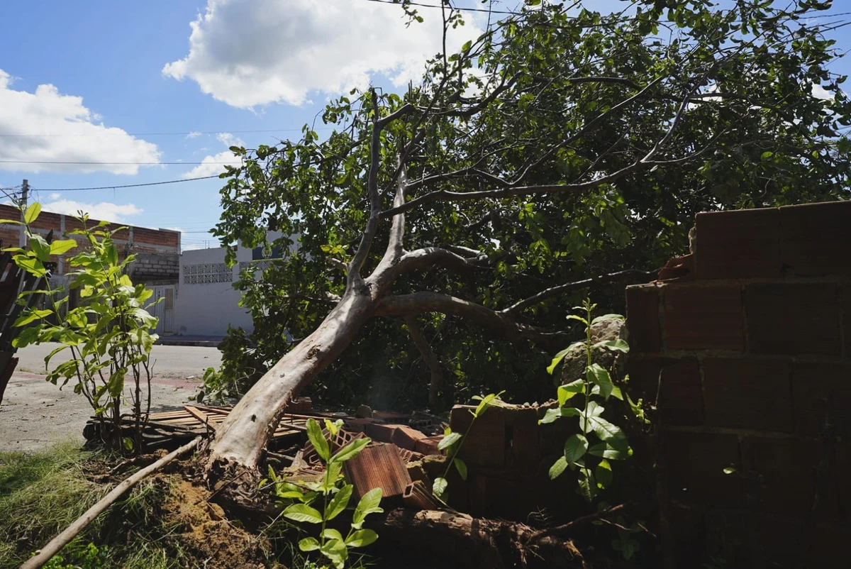 Temporal em Nova Almeida destelhou imóveis, derrubou árvores e postes e deixou rastro de destruição por Fernando Madeira | A Gazeta