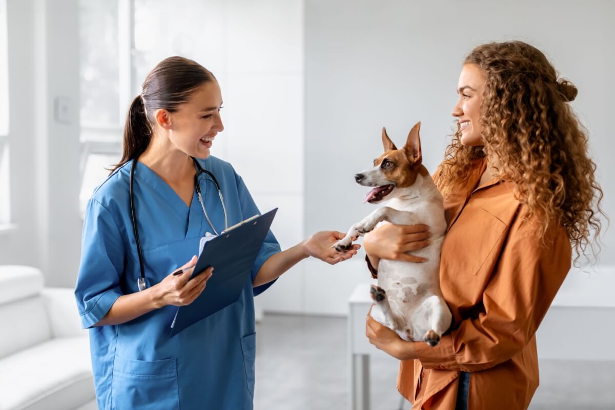 Os cuidados com a saúde dos pets ajudam a prevenir as zoonoses (Imagem: Prostock-studio | Shuttestock)
