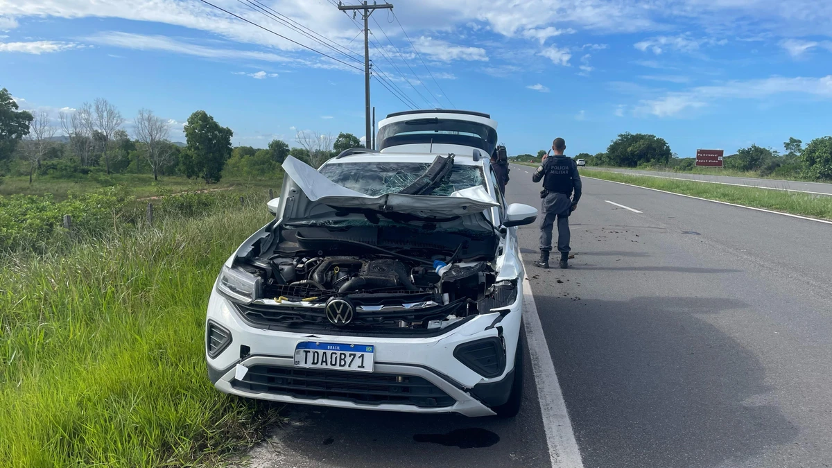 Cavalo morre e carro fica destruído após atropelamento na Rodovia do Sol por Álvaro Guaresqui
