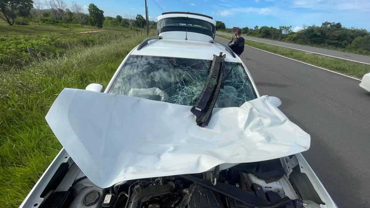 Cavalo morre e carro fica destruído após atropelamento na Rodovia do Sol por Álvaro Guaresqui