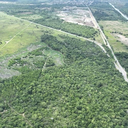 A BiomassTrust, fabricante de pellets de madeira combustível, fará um investimento inicial de pelo menos R$ 30 milhões. Empresa está de olho no mercado europeu