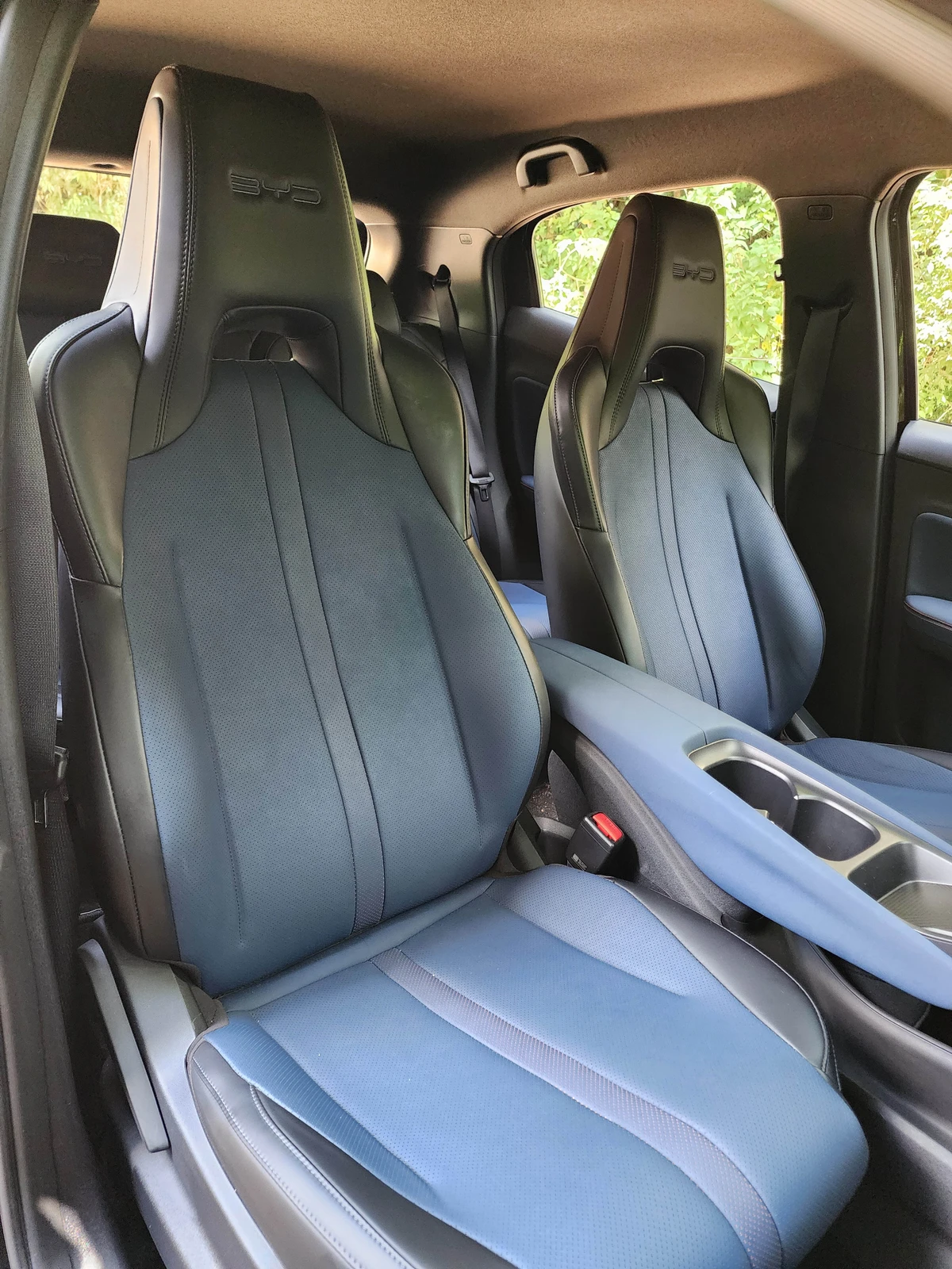 BYD Dolphin Mini