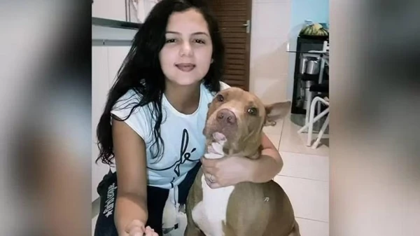 Cachorro adotado adulto matou a tutora e foi morto por vizinhos