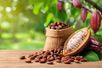 O cacau ajuda a promover a sensação de bem-estar (Imagem: Photoongraphy | Shutterstock)
