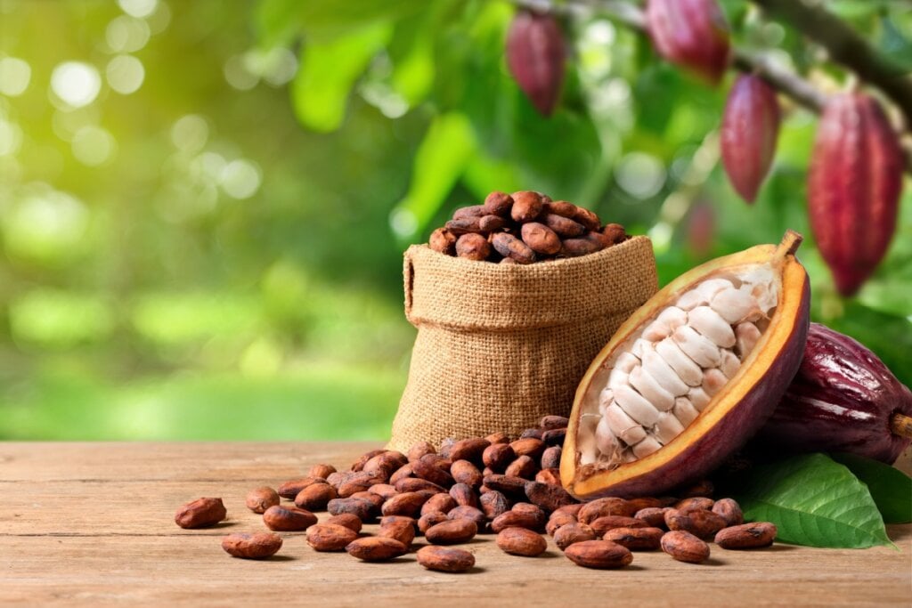 O cacau ajuda a promover a sensação de bem-estar (Imagem: Photoongraphy | Shutterstock)