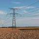 Imagem - ES prepara lei para acelerar melhorias da rede elétrica na área rural