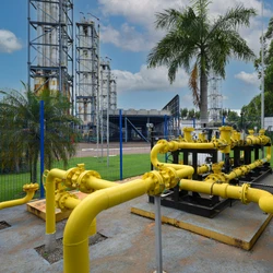 Expectativa da empresa é impulsionar a competitividade com a diminuição de tarifas para setores estratégicos, como o industrial