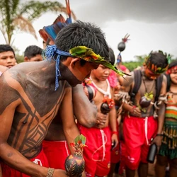 Muitas plantas utilizadas pela indústria farmacêutica como analgésicos, anti-inflamatórios, cicatrizantes e compostos bioativos foram identificadas graças às práticas tradicionais dos povos originários