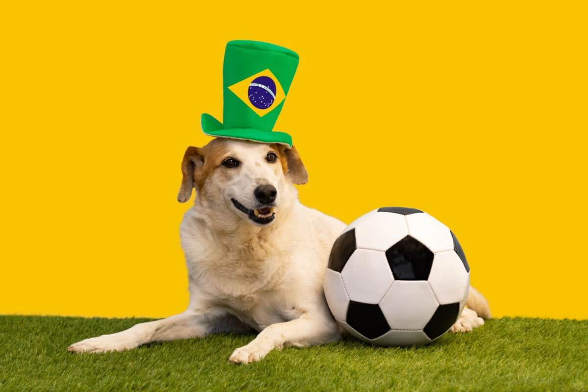 Colocar nome de jogador no seu cachorro pode ser uma forma divertida de celebrar duas paixões: pets e futebol (Imagem: Gabriela Bertolini | Shutterstock)
