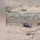Imagem - Granada é detonada em Cariacica e PM acredita ter sido deixada por criminosos