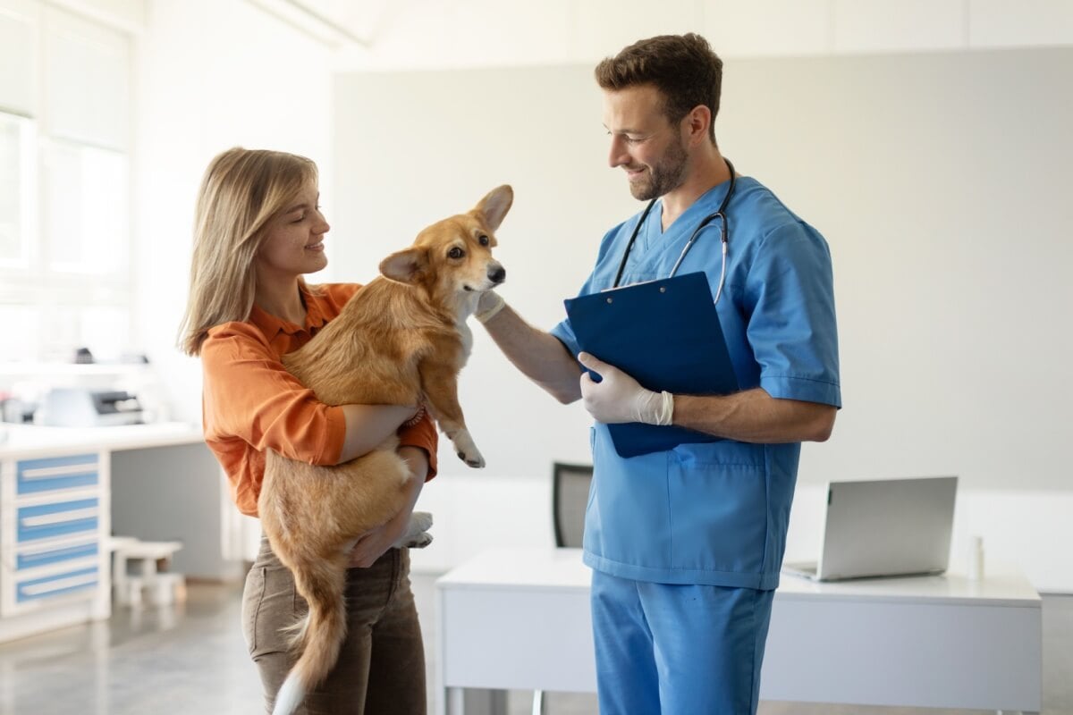 A primeira consulta veterinária é essencial para garantir o bem-estar dos animais de estimação (Imagem: fast-stock | Shutterstock)