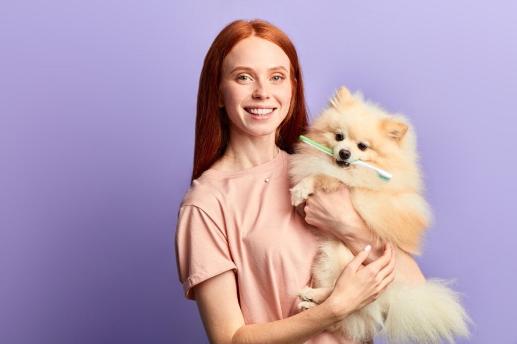 O veterinário pode indicar os cuidados corretos com a higiene dos pets (Imagem: Shakirov Albert | Shutterstock) 