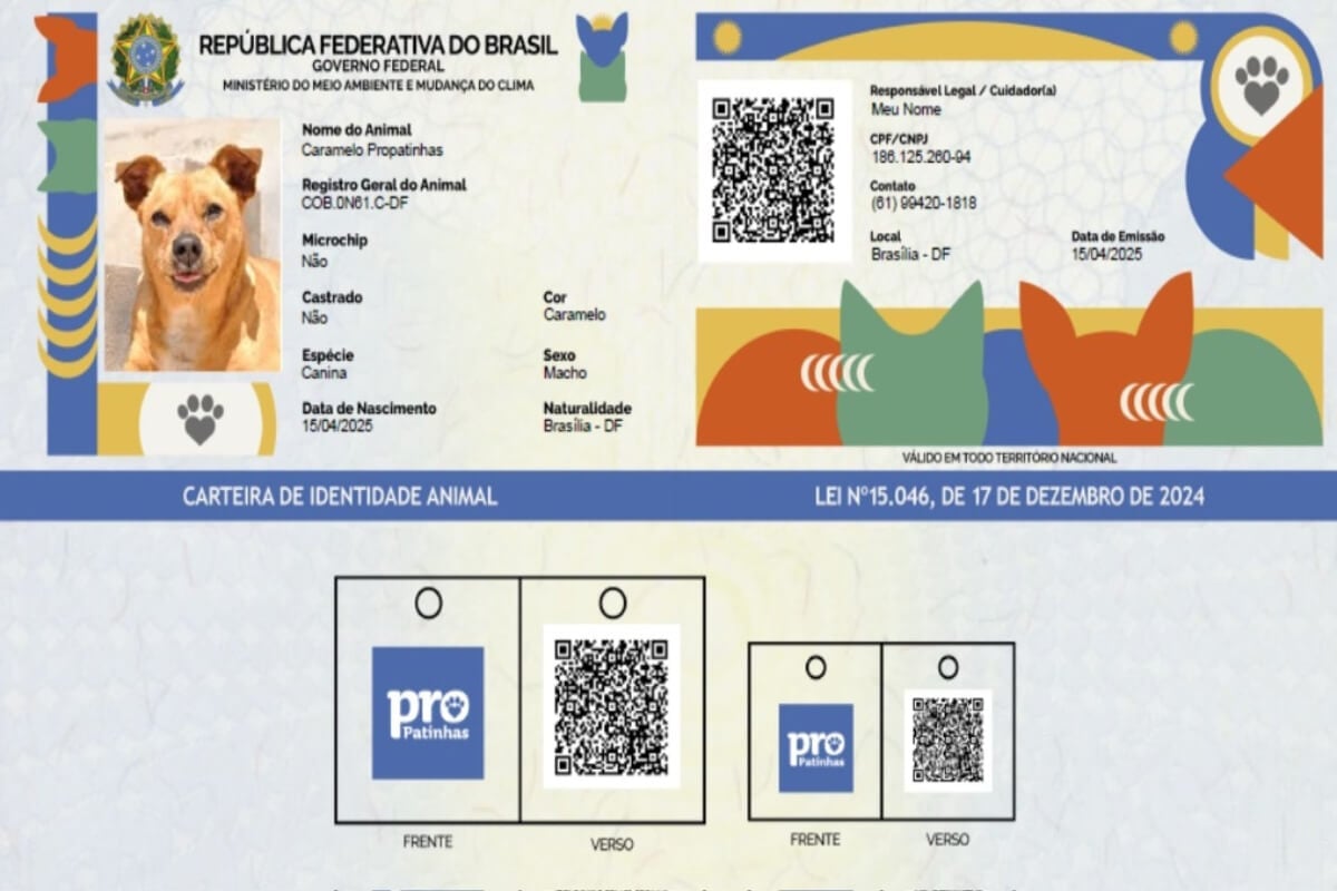 O RG Animal facilita a identificação de cães e gatos (Imagem: Planalto | Divulgação)