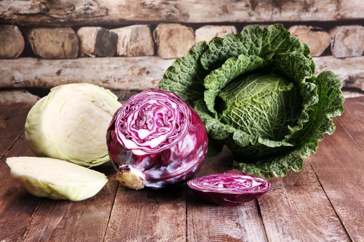 O repolho é um vegetal saboroso e rico em nutrientes essenciais (Imagem: beats1 | Shutterstock)