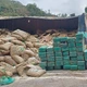 Imagem - Maconha saqueada na BR 262: ladrão que rouba droga... vira traficante