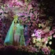A imagem da Nossa Senhora da Penha