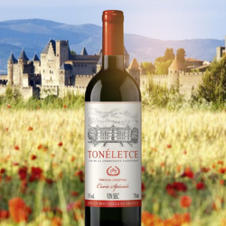 Tonéletce Vinho Tinto Francês 750Ml 
