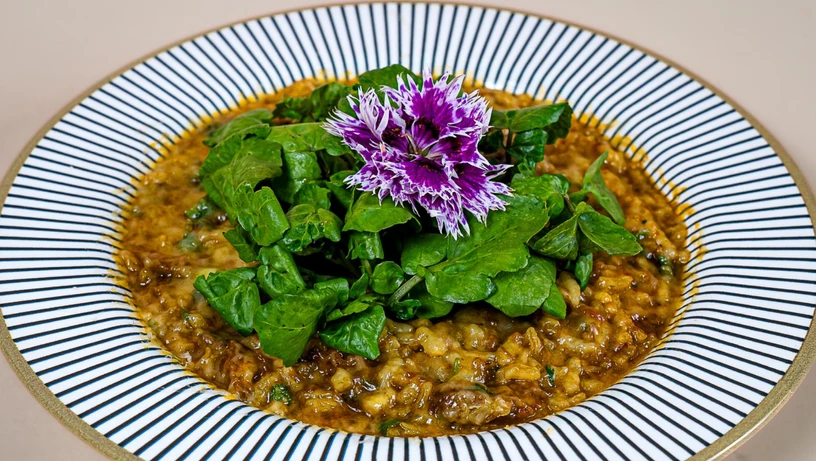 Risoto do Santa Forneria para o festival Santa Teresa Gourmet 2025 