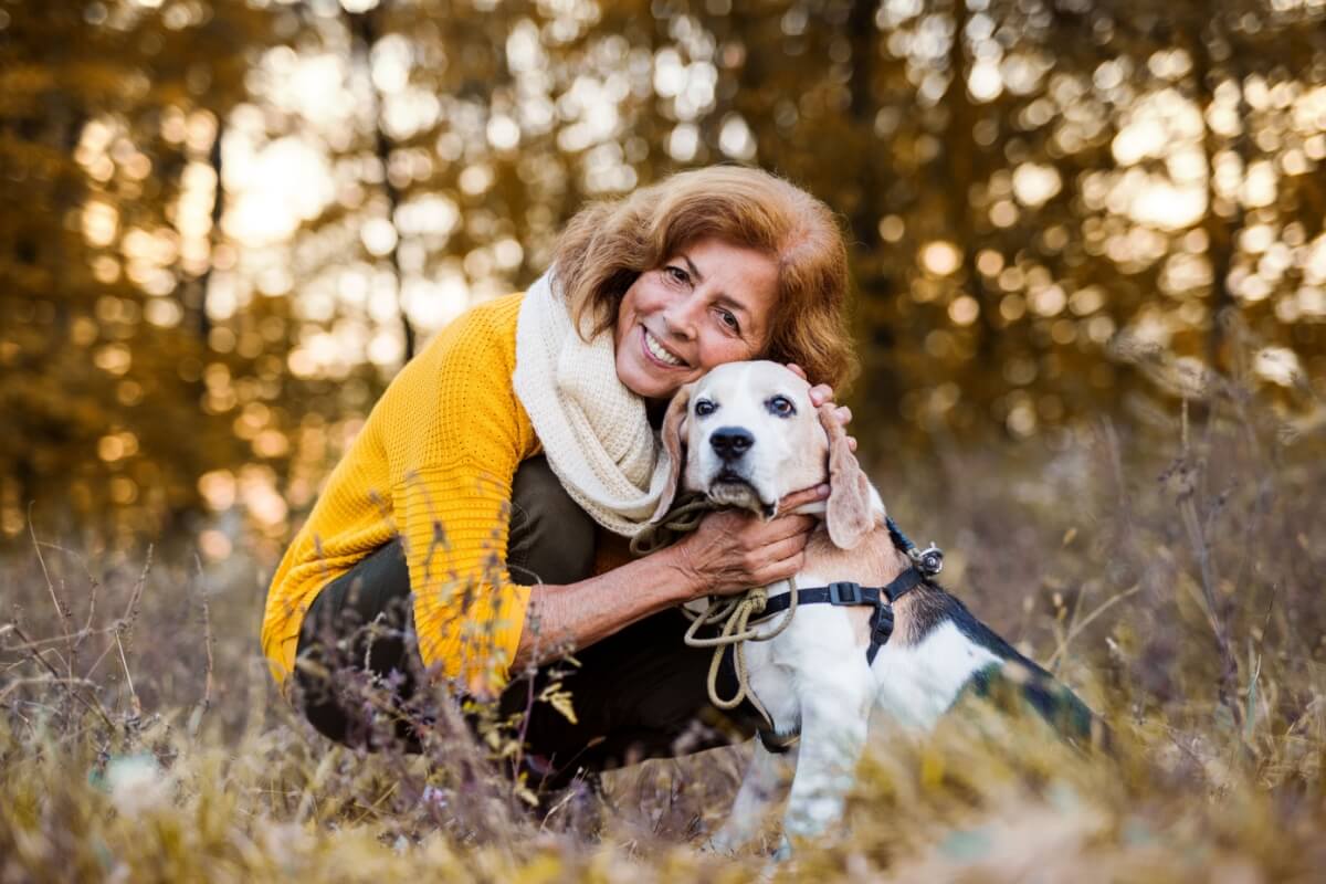 O passeio é fundamental para preservar a qualidade de vida dos cachorros idosos (Imagem: Ground Picture | Shutterstock)