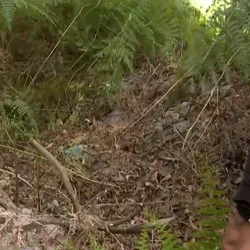 Iraci de Souza Teixeira, mais conhecida como Graça, não era vista desde a manhã do último sábado (26)