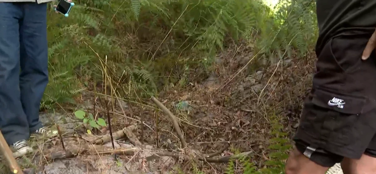 Corpo da empregada doméstica Iraci de Souza Teixeira foi encontrado em área de mata em Vale Encantado