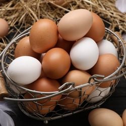 Entenda como esse alimento simples pode impactar positivamente o organismo