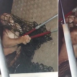 Animal foi contido na garagem de uma residência quase três horas após ser flagrado andando na cidade, na manhã de sexta-feira (2)