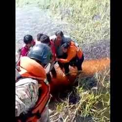 Um avião de pequeno porte foi forçado a fazer um pouso de emergência em um pântano na Amazônia boliviana após uma falha no motor.