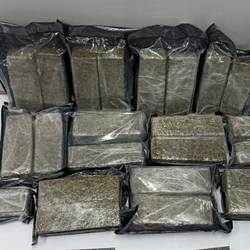 Após denúncia, a polícia encontrou 31 quilos de maconha em área de mata; suspeitos não foram encontrados
