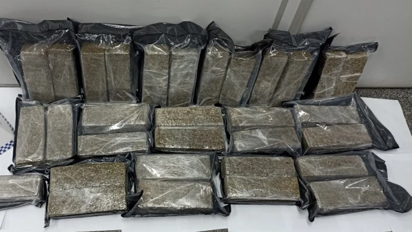 Após denúncia, a polícia encontrou 31 quilos de maconha em área de mata; suspeitos não foram encontrados