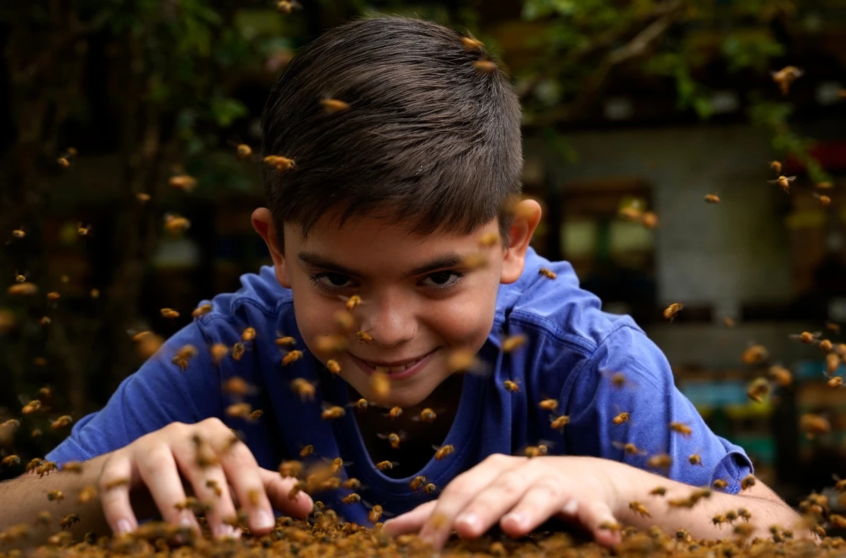 Criança autista encontra nas abelhas o caminho para a socialização